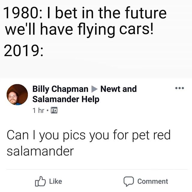 angle - 1980 1 bet in the future we'll have flying cars! 2019 Billy Chapman Newt and Salamander Help 1 hr. Can I you pics you for pet red salamander Comment