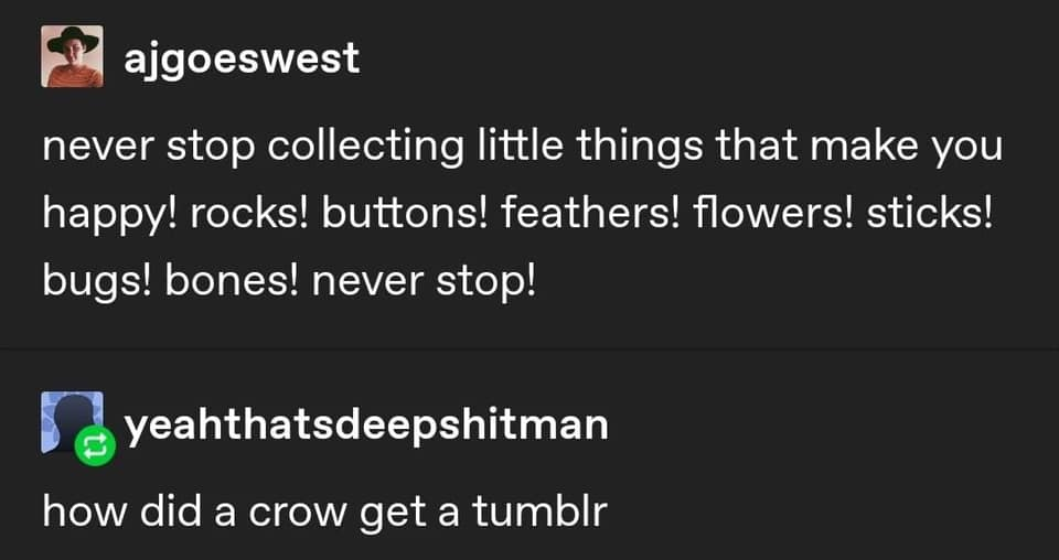 angle - ajgoeswest never stop collecting little things that make you happy! rocks! buttons! feathers! flowers! sticks! bugs! bones! never stop! 1 yeahthatsdeepshitman how did a crow get a tumblr