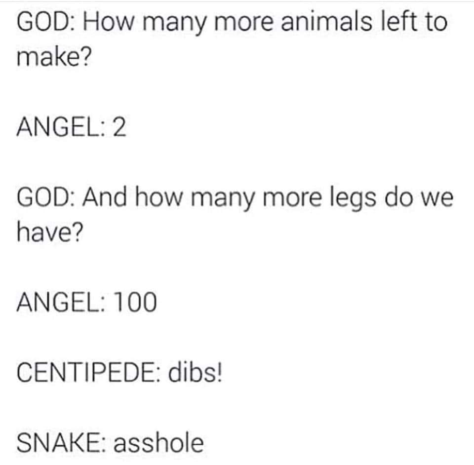 Set - God How many more animals left to make? Angel 2 God And how many more legs do we have? Angel 100 Centipede dibs! Snake asshole