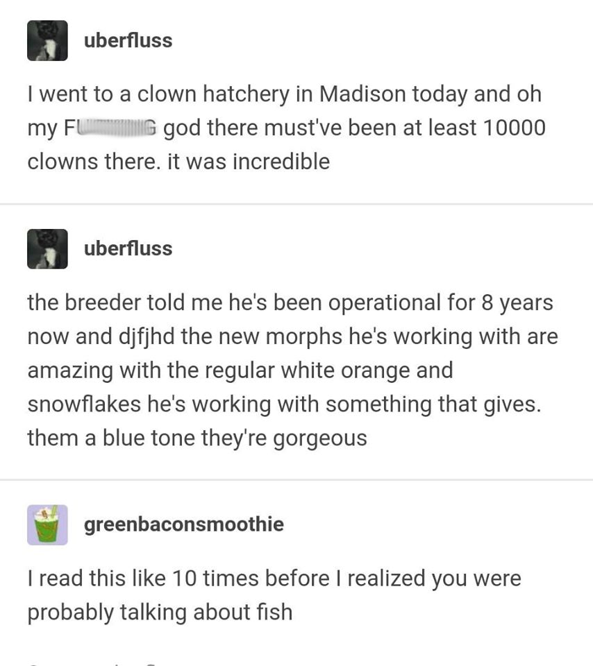 decide model - La uberfluss I went to a clown hatchery in Madison today and oh my F G god there must've been at least 10000 clowns there. it was incredible uberfluss the breeder told me he's been operational for 8 years now and djfjhd the new morphs he's 