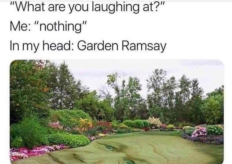 garden ramsay meme - "What are you laughing at?" Me "nothing" In my head Garden Ramsay