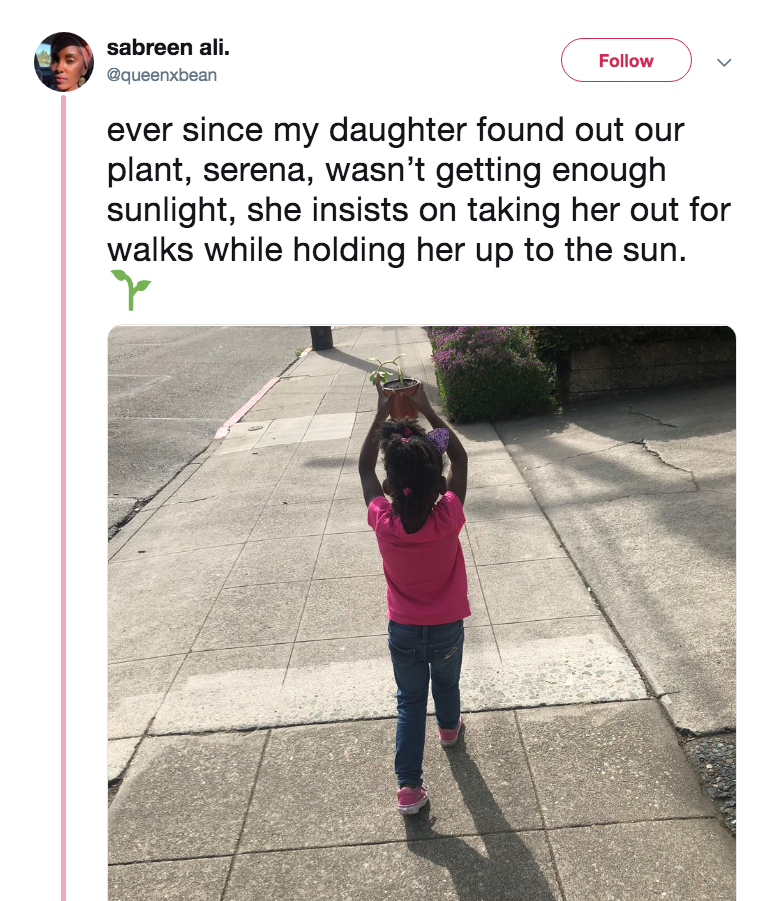 asphalt - sabreen ali. ever since my daughter found out our plant, serena, wasn't getting enough sunlight, she insists on taking her out for walks while holding her up to the sun.