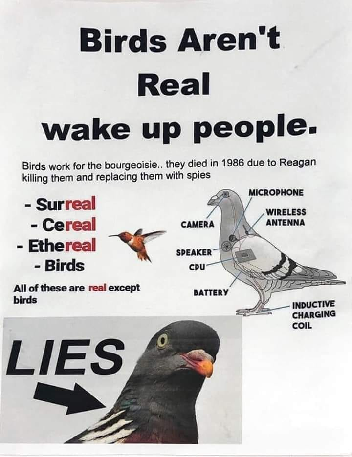 beak - Birds Aren't Real wake up people. Birds work for the bourgeoisie.. they died in 1986 due to Reagan killing them and replacing them with spies Microphone Surreal Wireless Cereal Camera Antenna Ethereal Speaker Birds Cpu All of these are real except 
