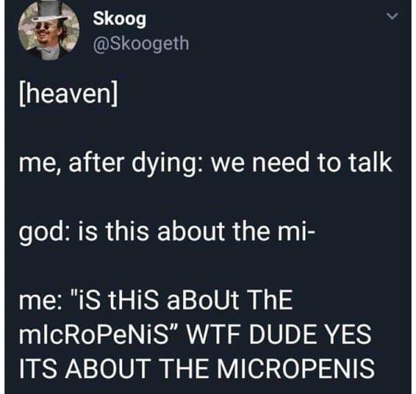 yes it's about the micropenis - Skoog heaven me, after dying we need to talk god is this about the mi me "iS this aBoUt The microPeNiS" Wtf Dude Yes Its About The Micropenis