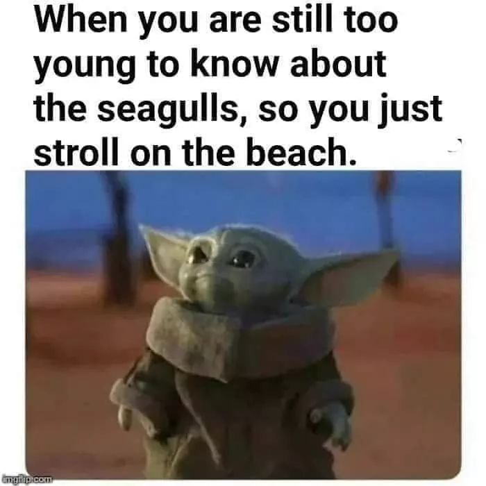 baby yoda seagulls meme - When you are still too young to know about the seagulls, so you just stroll on the beach. Ing.com