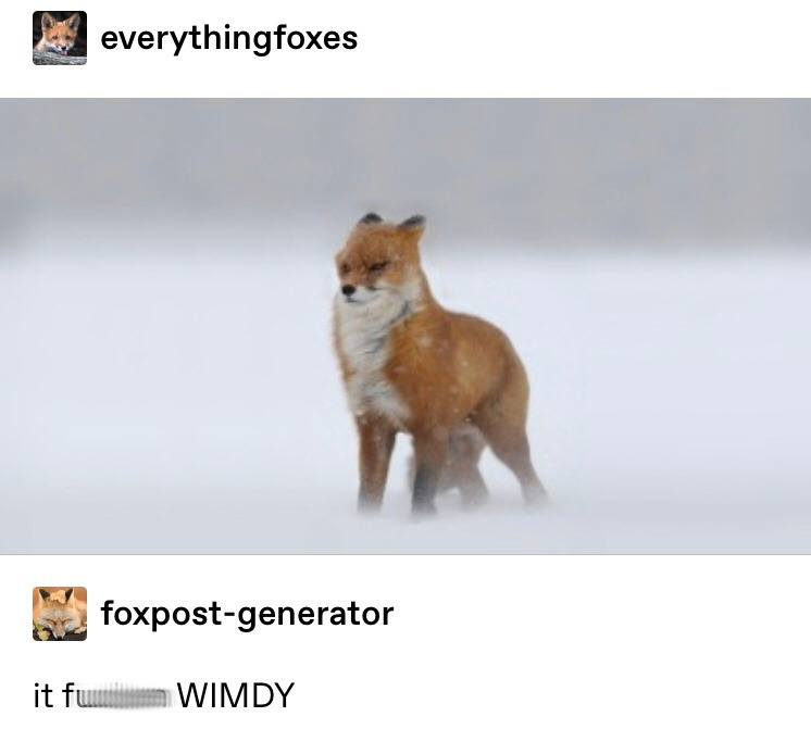 fucken wimdy - everything foxes foxpostgenerator it fummum Wimdy