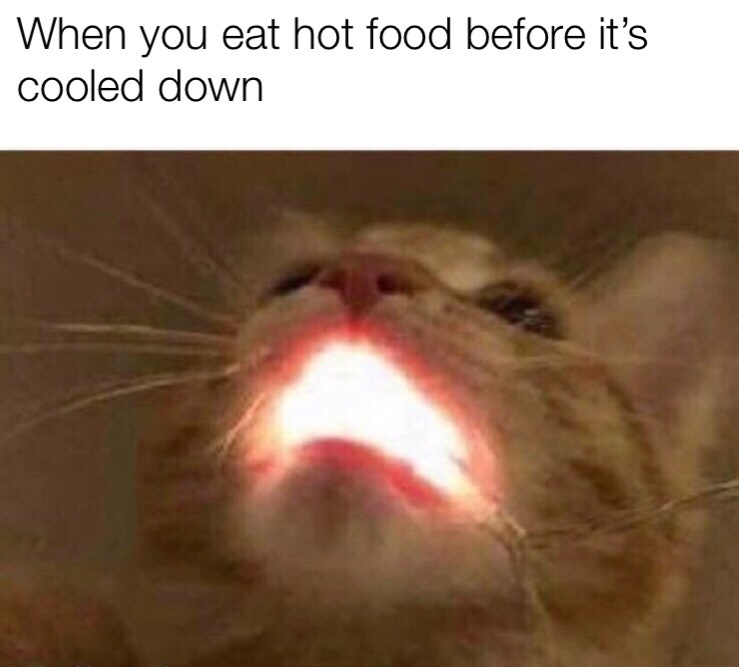 you eat a hot pizza roll - When you eat hot food before it's cooled down