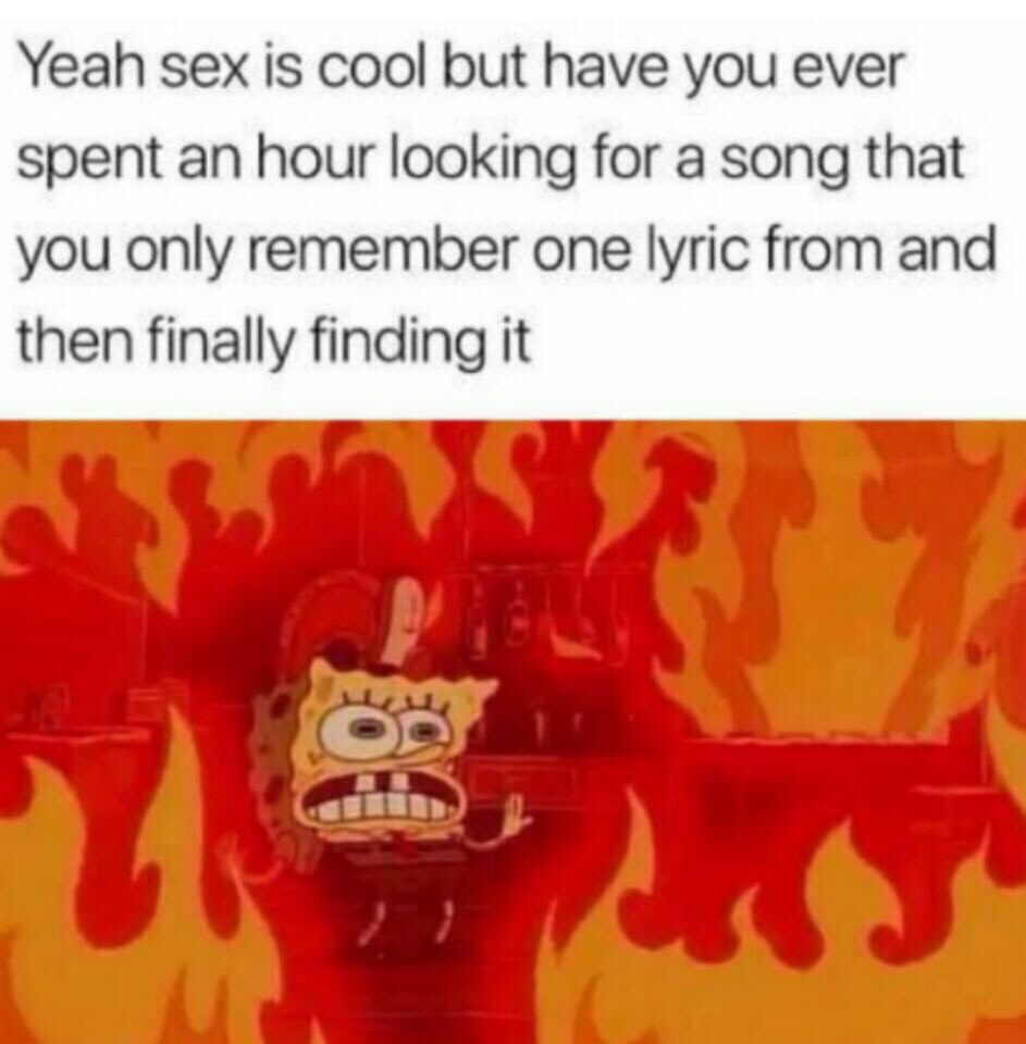 spongebob on fire - Yeah sex is cool but have you ever spent an hour looking for a song that you only remember one lyric from and then finally finding it