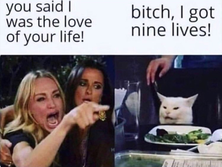 woman yelling at a cat meme - you said was the love of your life! bitch, I got nine lives!