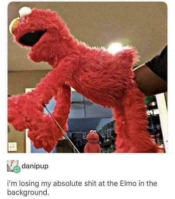 elmo meme - danipup i'm losing my absolute shit at the Elmo in the background.