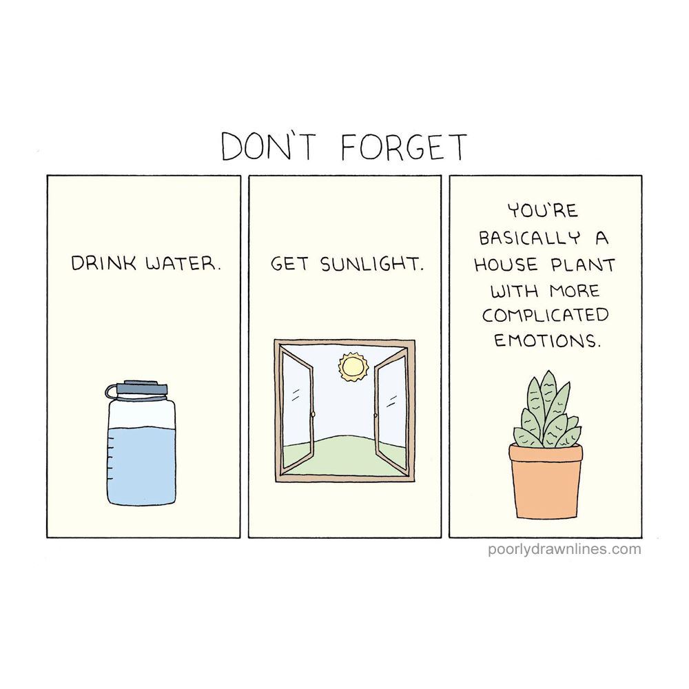 you re basically a houseplant with more complicated emotions - Don'T Forget Drink Water. Get Sunlight. You'Re Basically A House Plant With More Complicated Emotions. poorlydrawnlines.com
