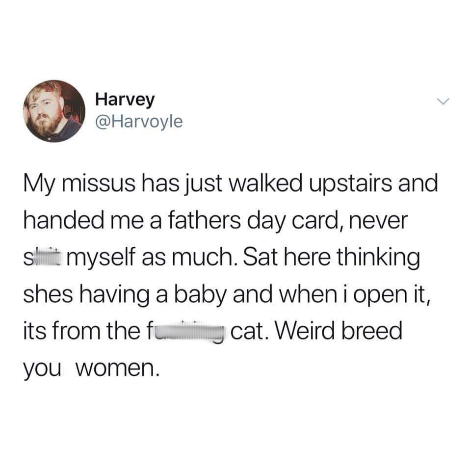 being in your 20s - Harvey My missus has just walked upstairs and handed me a fathers day card, never s myself as much. Sat here thinking shes having a baby and when i open it, its from the fucking cat. Weird breed you women.