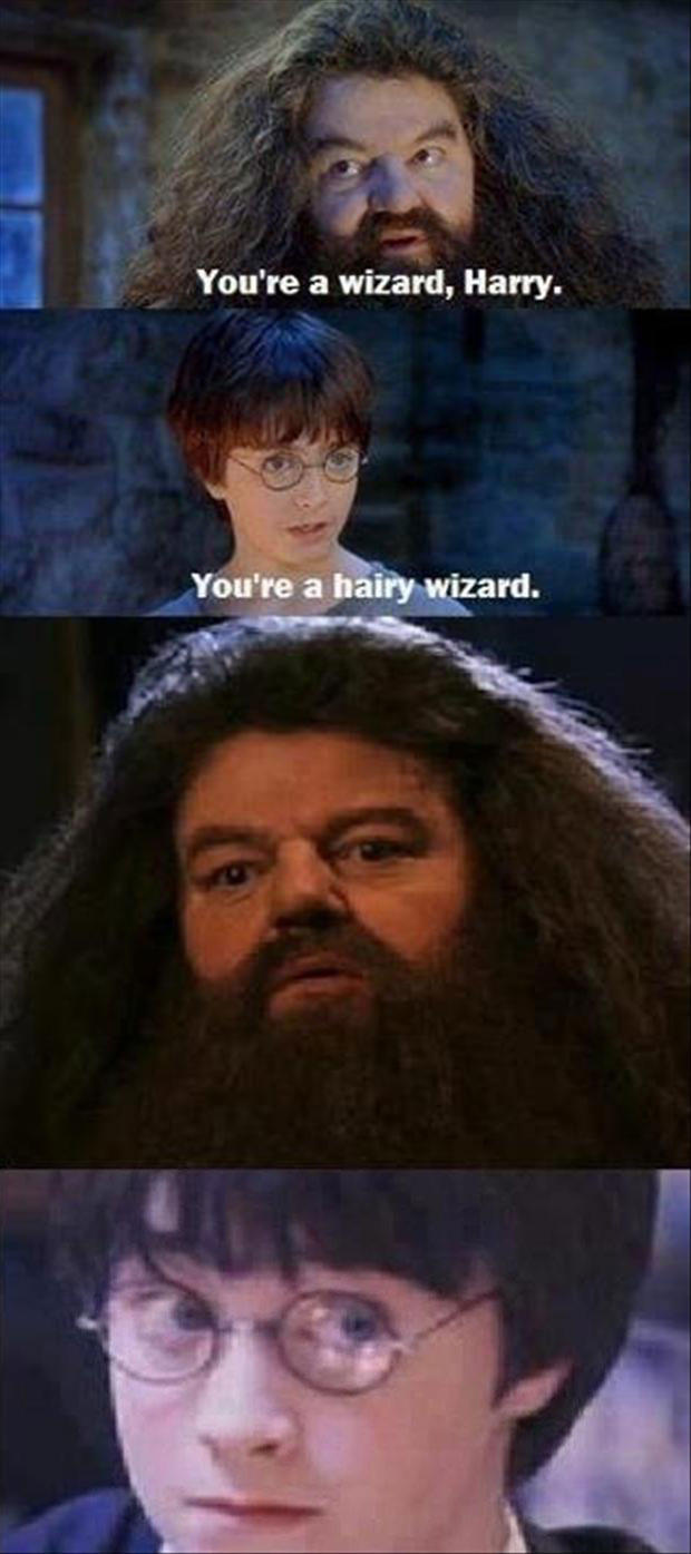 you re a wizard harry meme - You're a wizard, Harry. You're a hairy wizard.