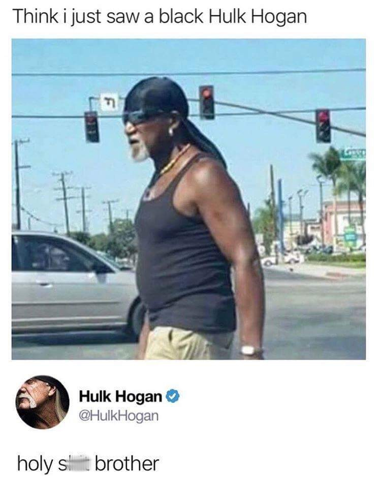 black hulk hogan meme - Think i just saw a black Hulk Hogan Hulk Hogan Hogan holy slit brother