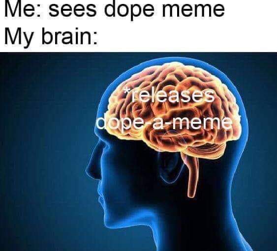 releases dope a meme - Me sees dope meme My brain releases dope ameme