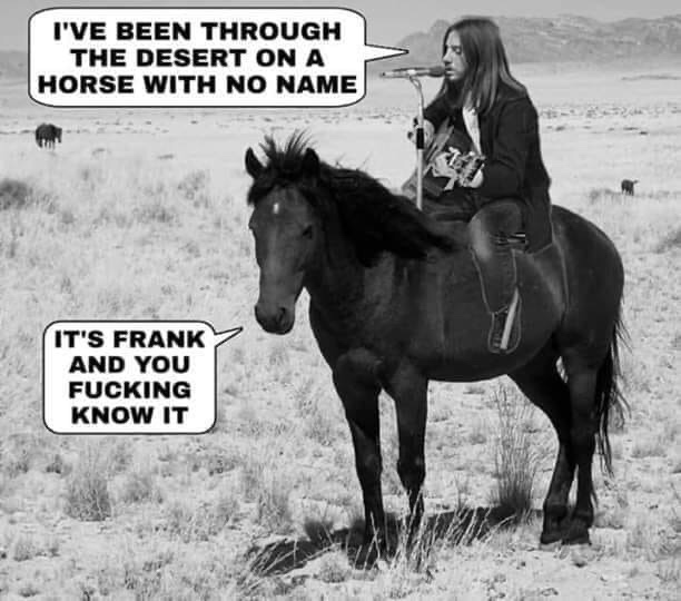 horse with no name meme frank - I'Ve Been Through The Desert On A Horse With No Name It'S Frank And You Fucking Know It