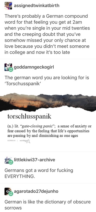 german meme - assignedtwinkatbirth There's probably a German compound word for that feeling you get at 2am when you're single in your mid twenties and the creeping doubt that you've somehow missed your only chance at love because you didn't meet someone i