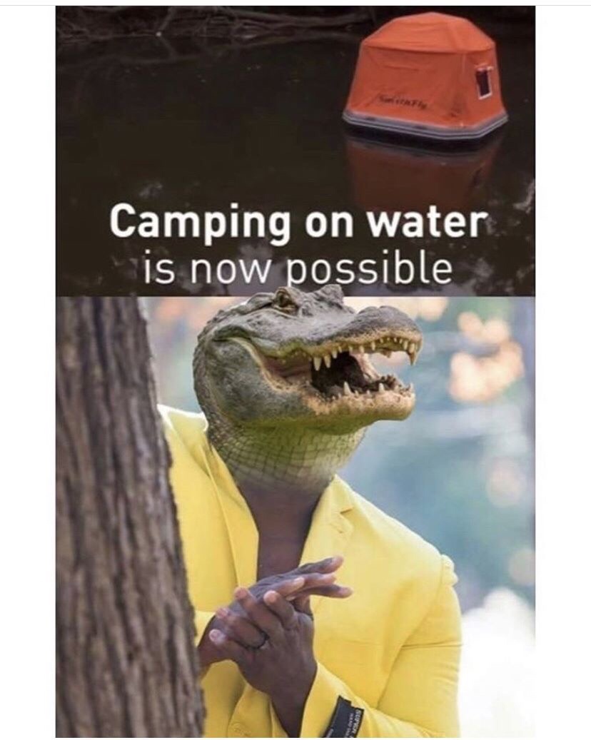 crocodile memes - Camping on water is now possible