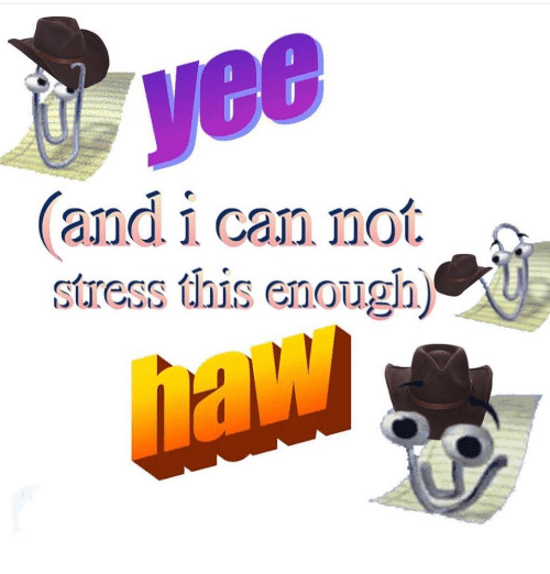 yee haw memes - u vee and i can not stress dois enoughn naw