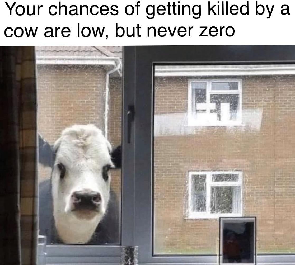 your chances of getting killed by a cow are low but never zero - Your chances of getting killed by a cow are low, but never zero