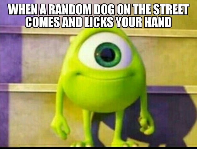 kid mike wazowski meme - Whenarandom Dog On The Street Comes And Licks Your Hand