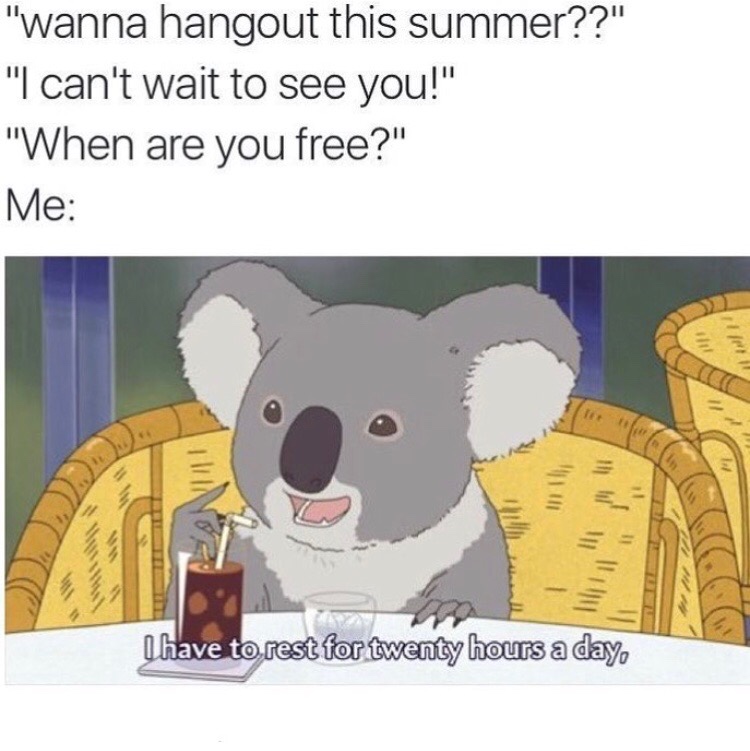 koala rest meme - "wanna hangout this summer??" "I can't wait to see you!" "When are you free?" Me Iii I have to rest for twenty hours a day,