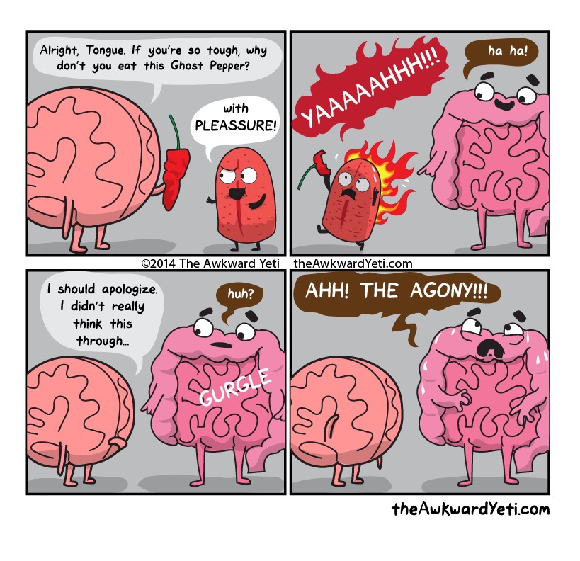 funny anatomy comics - Alright, Tongue. If you're so tough, why don't you eat this Ghost Pepper? ha ha! with Pleassure! Yaaaaahhh!!! 2014 The Awkward Yeti the Awkward Yeti.com huh? Ahh! The Agony!!! I should apologize. I didn't really think this through..