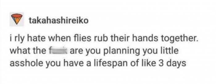 diagram - V takahashireiko i rly hate when flies rub their hands together. what the flakk are you planning you little asshole you have a lifespan of 3 days