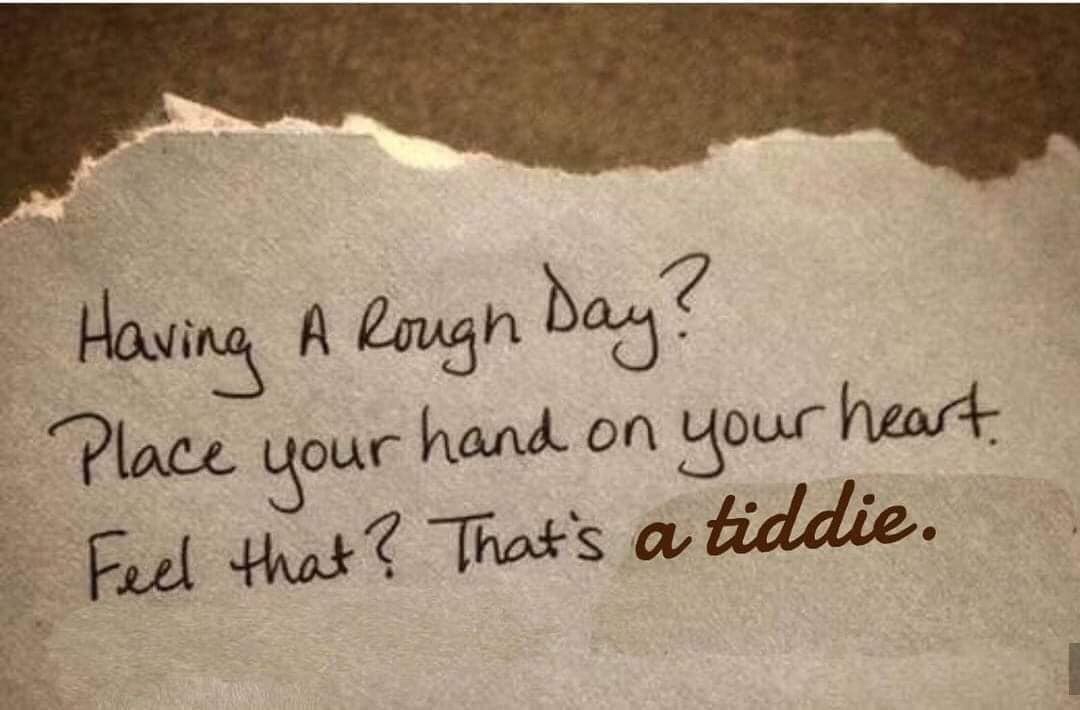 having a rough day place your hand - Having A Rough day? Place your hand on your heart. Feel that? That's a tiddie.