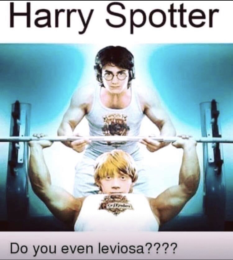 harry spotter - Harry Spotter Do you even leviosa????