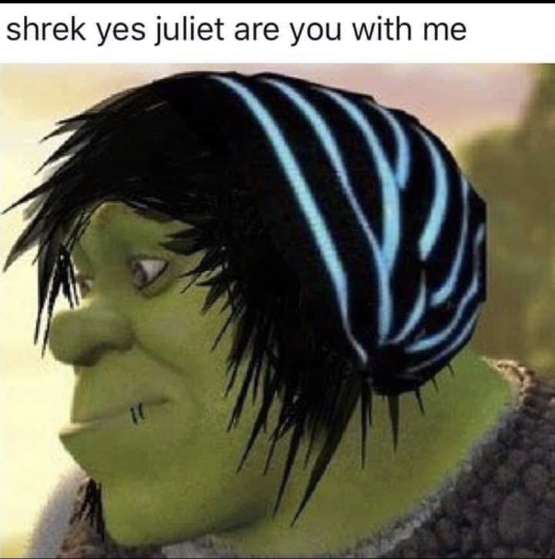 shrek yes juliet - shrek yes juliet are you with me