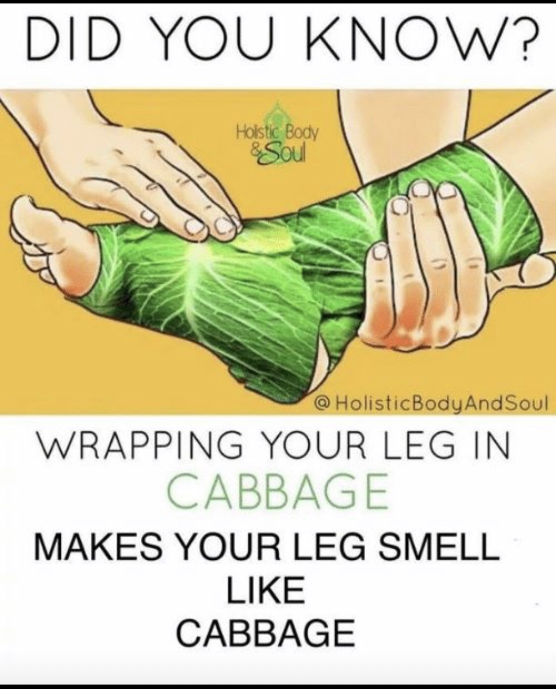 pseudoscience meme - Did You Know? Hoistic Body & Soul And Soul Wrapping Your Leg In Cabbage Makes Your Leg Smell Cabbage