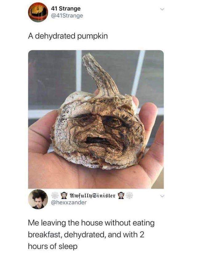 dehydrated pumpkin meme - 41 Strange A dehydrated pumpkin AwfullySinister Me leaving the house without eating breakfast, dehydrated, and with 2 hours of sleep