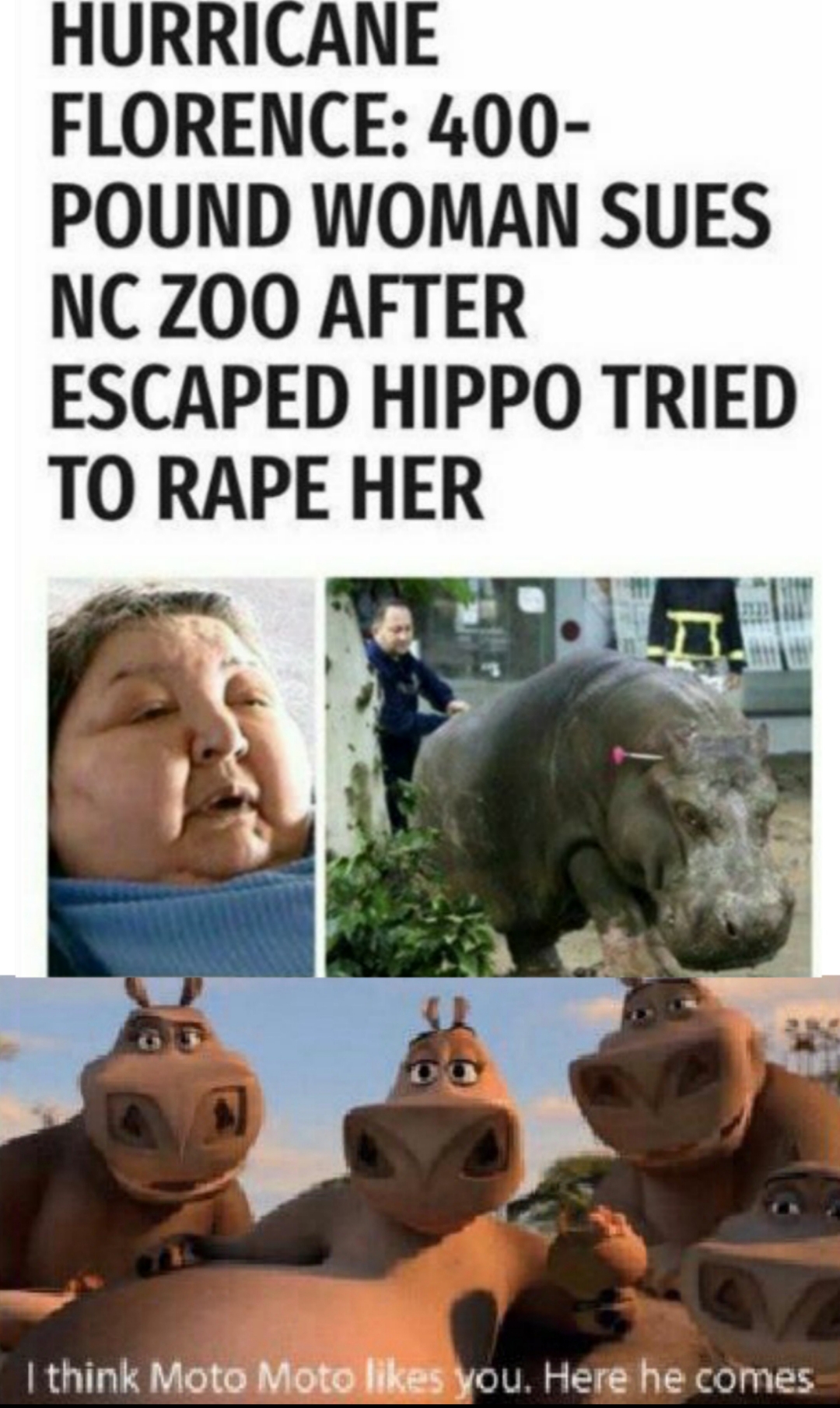 photo caption - Hurricane Florence 400 Pound Woman Sues Nc Zoo After Escaped Hippo Tried To Rape Her I think Moto Moto you. Here he comes