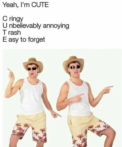 funny self deprecating memes - Yeah, I'm Cute C ringy Unbelievably annoying Trash Easy to forget