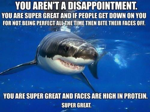 encouragement meme - You Aren'T A Disappointment. You Are Super Great And If People Get Down On You For Not Being Perfect All The Time Then Bite Their Faces Off. You Are Super Great And Faces Are High In Protein. Super Great