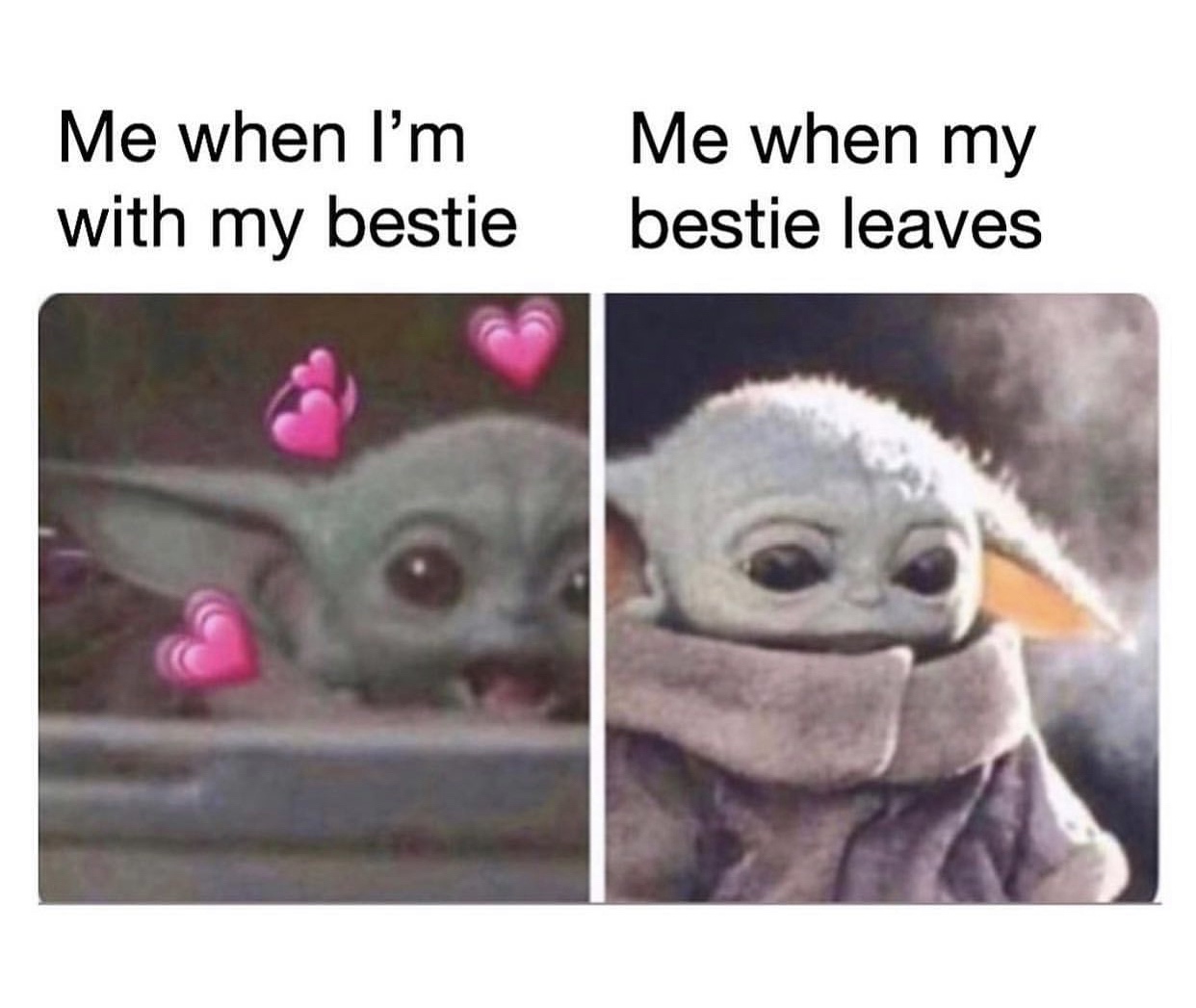 photo caption - Me when I'm Me when my with my bestiebestie leaves