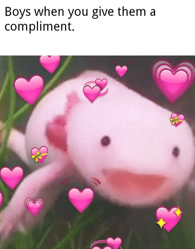 wholesome memes hearts - Boys when you give them a compliment.