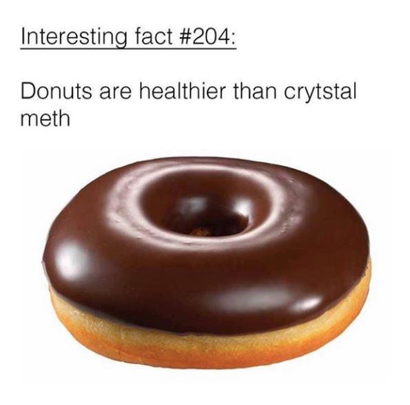 funny donut meme - Interesting fact Donuts are healthier than crytstal meth