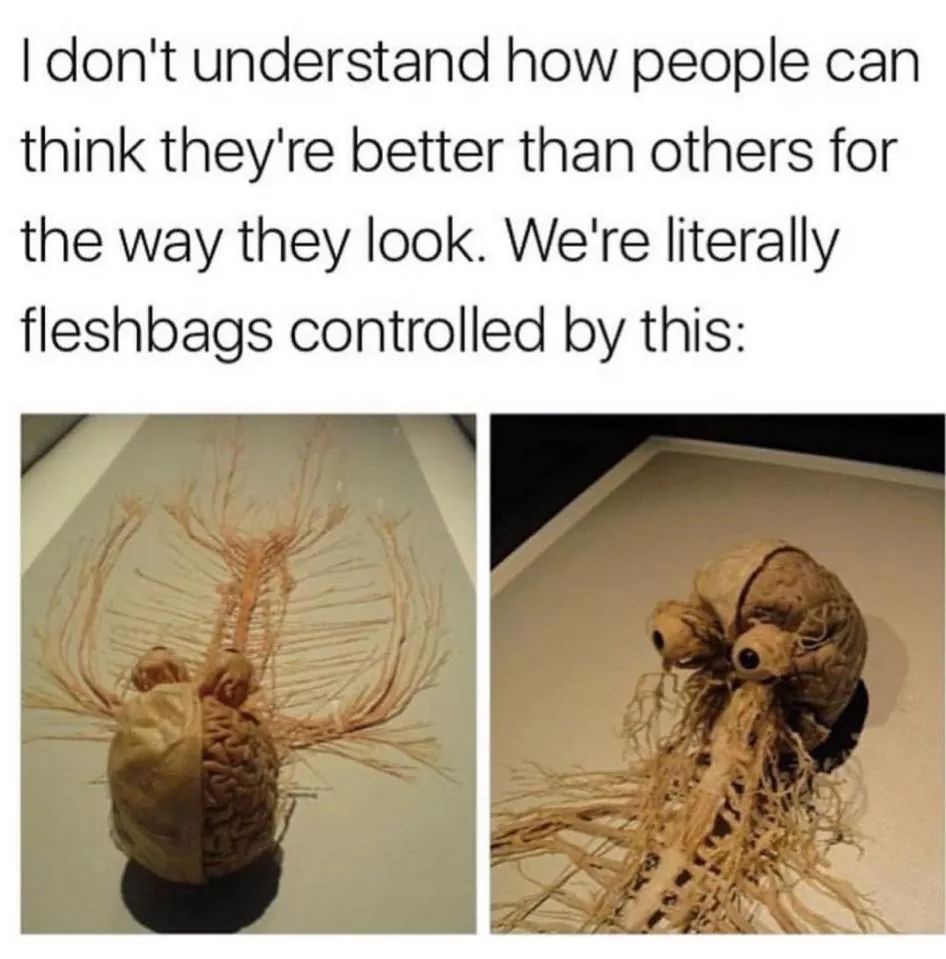 flying spaghetti monster human nervous system - I don't understand how people can think they're better than others for the way they look. We're literally fleshbags controlled by this