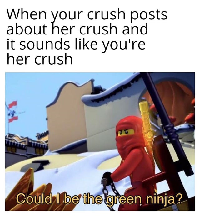 could i be the green ninja meme - When your crush posts about her crush and it sounds you're her crush Could I be the green ninja?