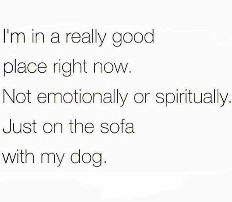 passes joint to spirits in my house - I'm in a really good place right now. Not emotionally or spiritually. Just on the sofa with my dog.