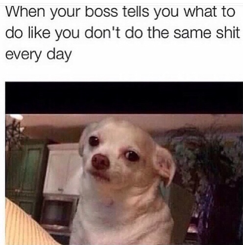 your boss tells you what to do meme - When your boss tells you what to do you don't do the same shit every day