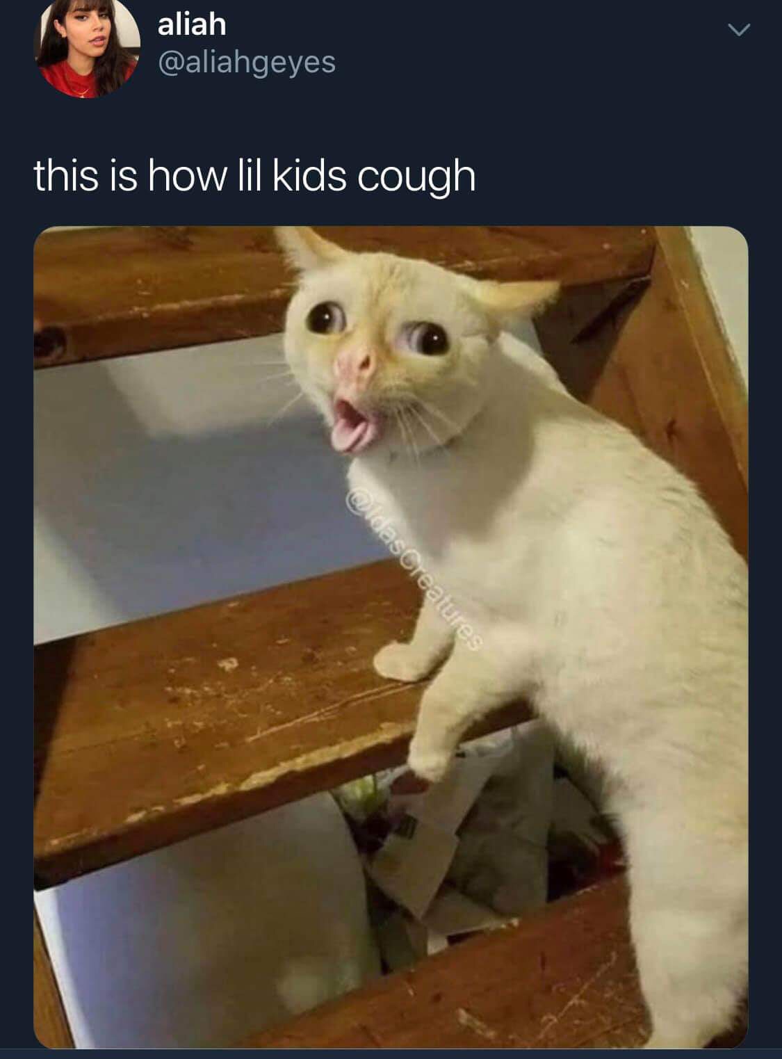 lil kids cough - aliah this is how lil kids cough OldasCreatures