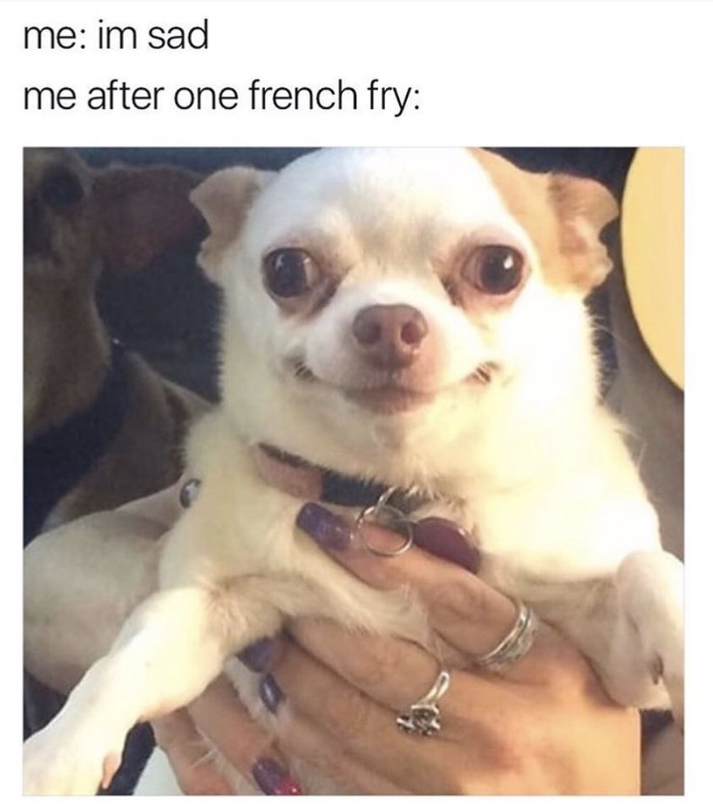french fry memes - me im sad me after one french fry