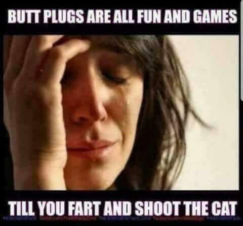 first world problems meme - Butt Plugs Are All Fun And Games Till You Fart And Shoot The Cat
