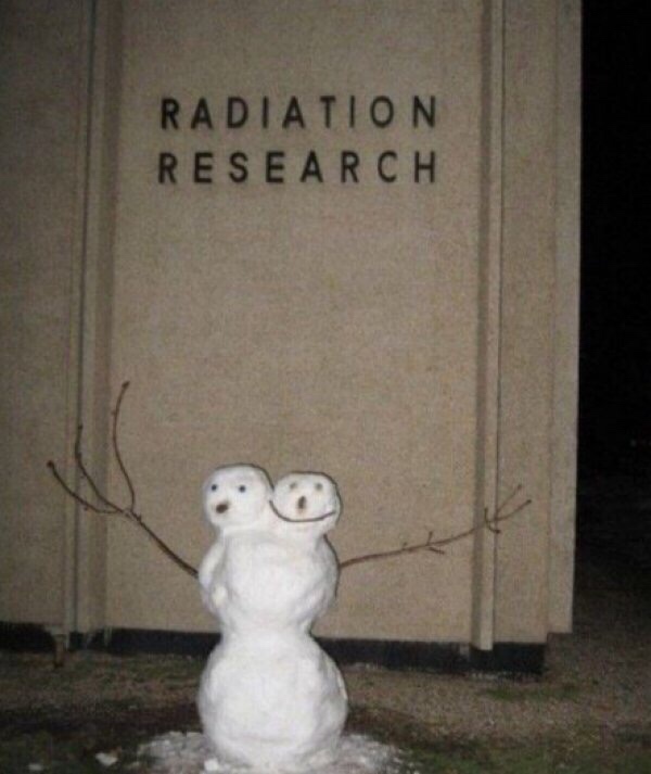 radiation research snowman - Radiation Research