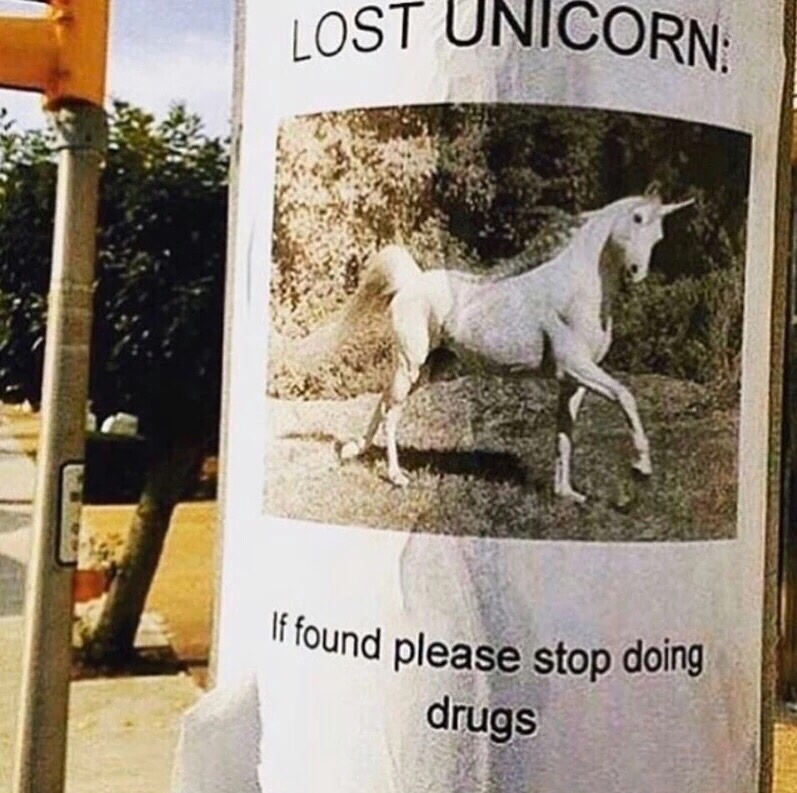 lost unicorn - Lost Unicorn If found please stop doing drugs