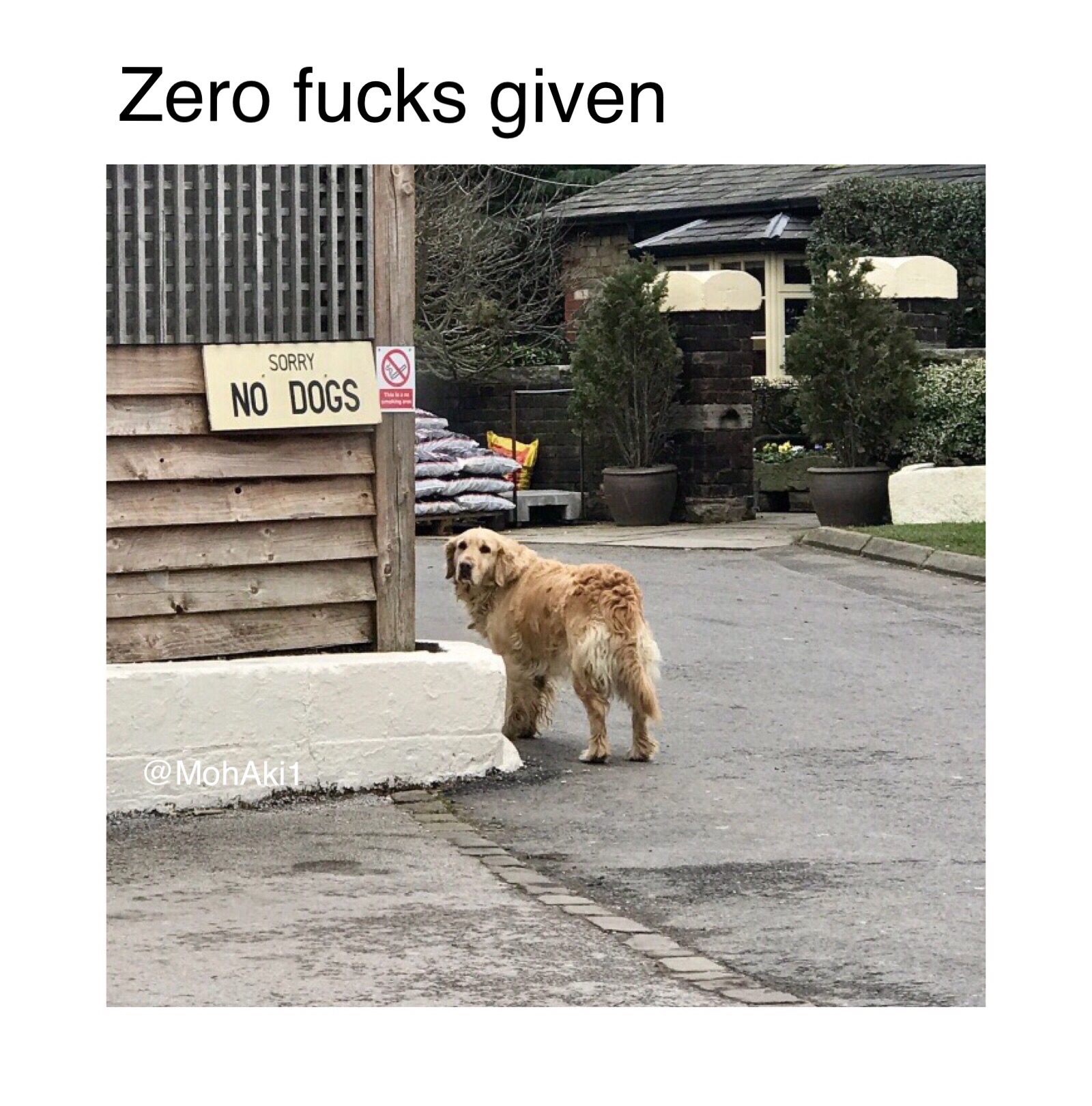 call a dog meme - Zero fucks given Sorry No Dogs