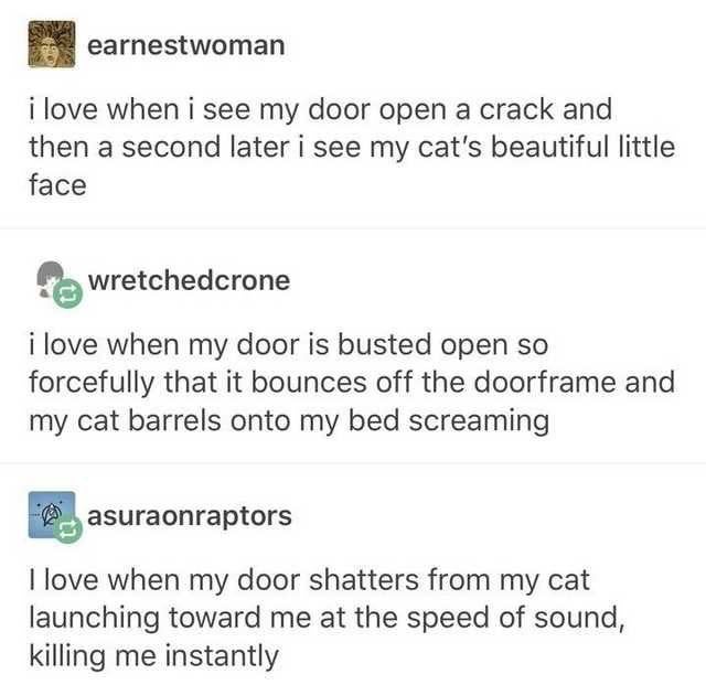 killing me instantly - earnestwoman i love when i see my door open a crack and then a second later i see my cat's beautiful little face a wretchedcrone i love when my door is busted open so forcefully that it bounces off the doorframe and my cat barrels o